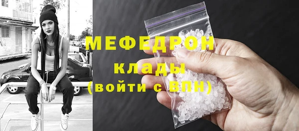 индика Дмитриев
