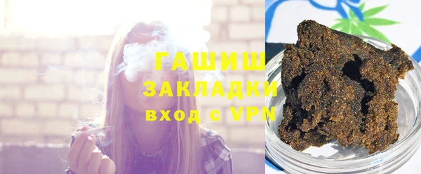 индика Дмитриев
