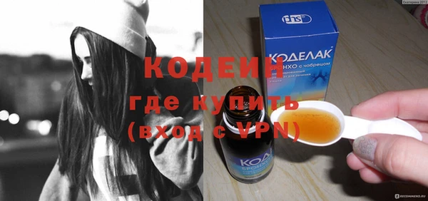 индика Дмитриев