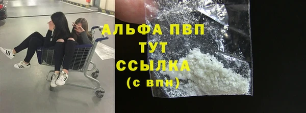 индика Дмитриев