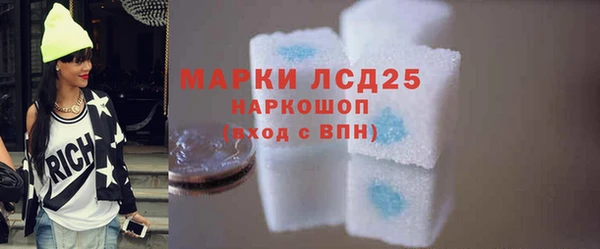 индика Дмитриев