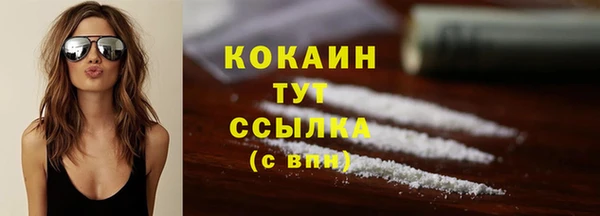 МДПВ Дмитров