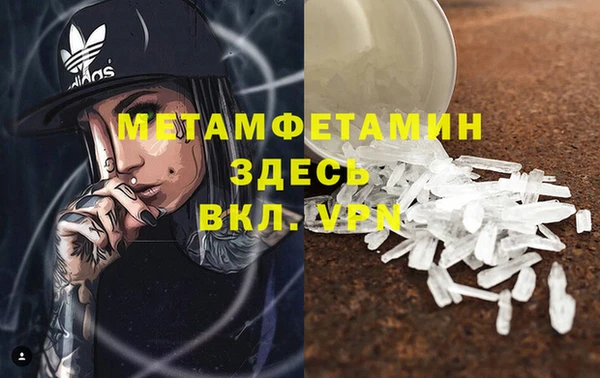 индика Дмитриев