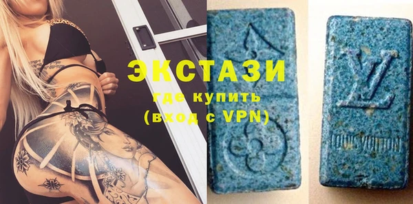 индика Дмитриев