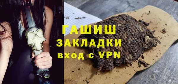 индика Дмитриев