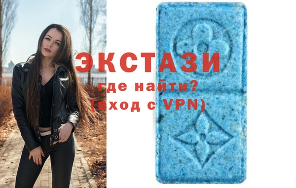 индика Дмитриев