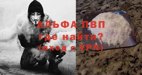 индика Дмитриев