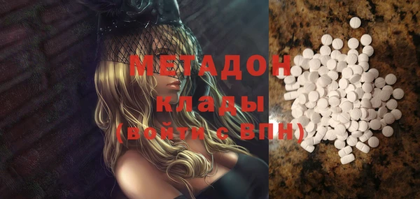 индика Дмитриев