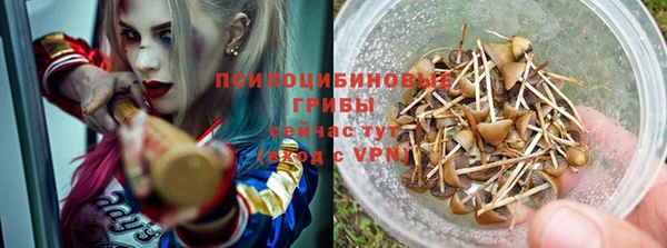 индика Дмитриев