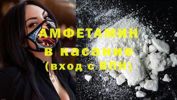 индика Дмитриев